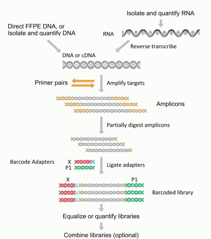 Biomed&Informatics About Thermo Fisher sequencing.......