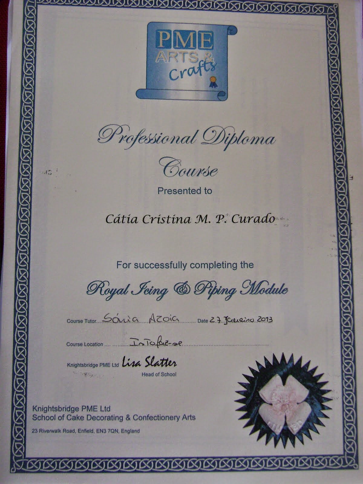 Diploma Profissional PME - Royal Icing and Piping Gel