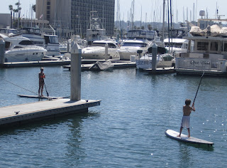 strictly sail long beach family paddleboarding