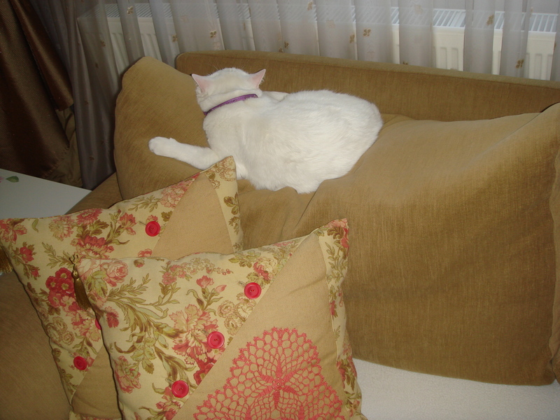 evimi seviyorum..: Uykun Olayım ! / Hoşgeldin Eylül