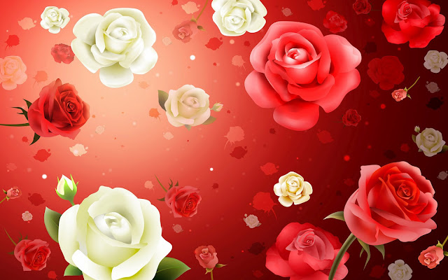 Rode en witte rozen in 3D