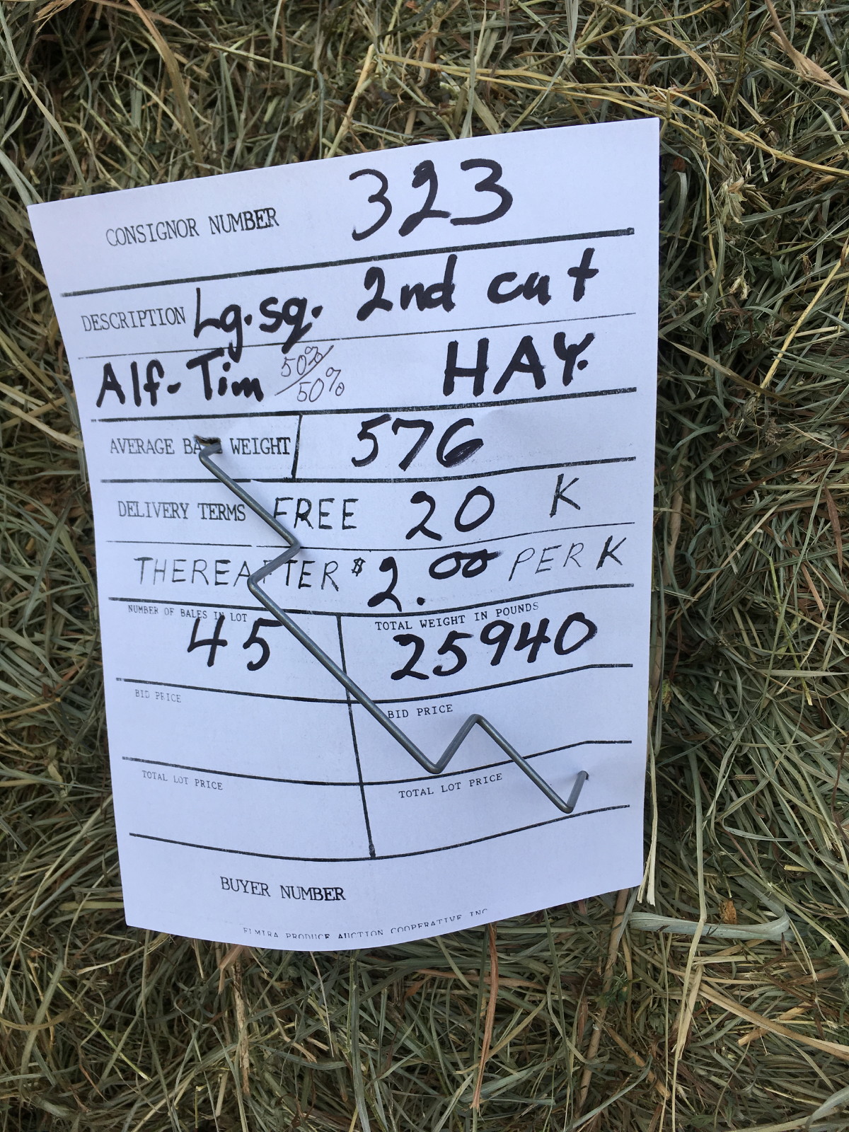 Anja's Photo Journal Elmira Hay Auction