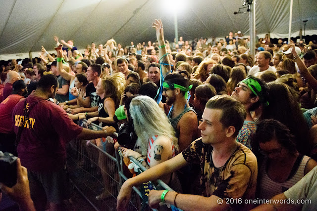 Pup at Hillside Festival at Guelph Lake Island July 22, 2016 Photo by John at One In Ten Words oneintenwords.com toronto indie alternative live music blog concert photography pictures