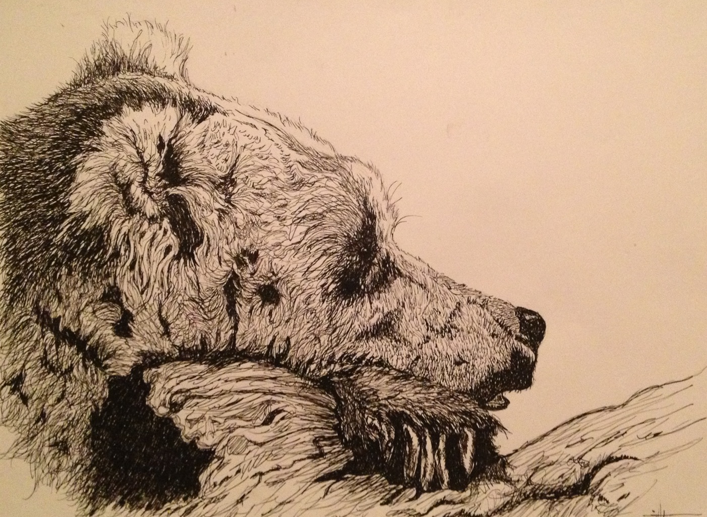 DEFINING GREY: Old Pen and Ink Drawings
