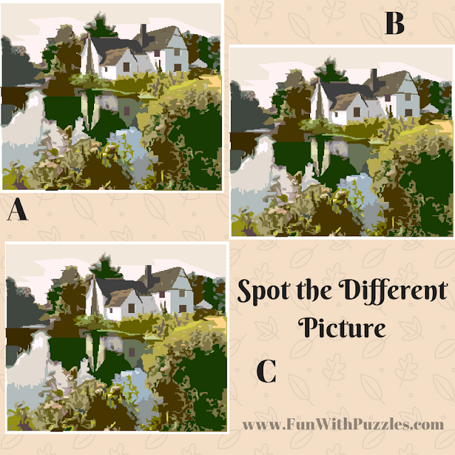 Spot The Different Picture Puzzles-Lake Spot The Different Picture Puzzles-Lake
