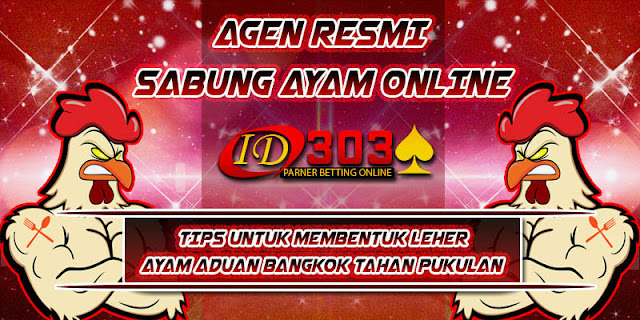 TIPS UNTUK MEMBENTUK LEHER AYAM ADUAN BANGKOK TAHAN PUKULAN sabung ayam online, sabung ayam filipina, sabung ayam pisau, agen sabung ayam online terpercaya, sabung ayam bangkok sampai mati, sabung ayam bangkok, sabung ayam sarawak, sabung ayam toraja, sabung ayam, judi online sabung ayam, adu ayam, s1288 net, s1288, adu ayam bangkok, gambar sabung ayam filipina, ayam pilipin, s128 net, ayam bangkok petarung, cara ternak ayam bangkok, gambar ayam bangkok super, ayam, video ayam bangkok, ternak ayam bangkok, ayam laga bangkok, ayam bangkok, ayam bangkok super, ayam bangkok f1, ayam petarung, jual ayam bangkok, ayam bangkok indonesia, ayam bangkok aduan super, jual beli ayam bangkok, sabung ayam sampai mati, ayam aduan pukul mati, adu ayam bangkok sampai mati, ag s1288 net, sabung, agen s1288, sabung ayam net, as s1288 sabung ayam, s1288 poker, adu ayam bangkok asli, adu ayam bangkok super, adu ayam bangkok youtube, ayam bangkok aduan, ayam aduan. gambar ayam bangkok, gambar ayam kampung, gambar ayam bangkok juara, s128net