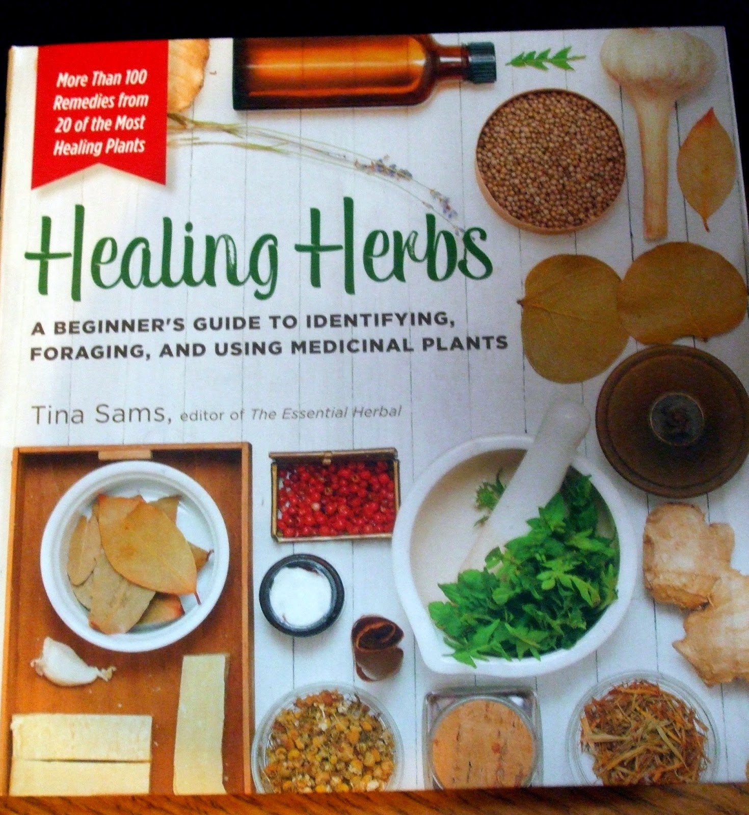 Rosemary's Sampler Healing Herbs by Tina Sams