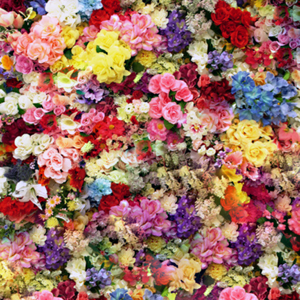 Put Some Color In Your Life