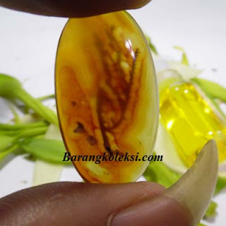 mustika ajian suket kalanjana, cara ajian suket kalanjana, rumput kalanjana, bacaan ajian suket kalanjana, arti suket kalanjana, ajian prabu kian santang, khasiat suket kolonjono, ajian suket kalanjana kampus wong alus, amalan ilmu aji suket kalanjana, ajian ampuh, ajian sakti, ajian mantra, mantra ampuh, mantra sakti, pusaka bertuah, pusaka mistik, barang mistik, barang bertuah, mustika asli, mustika tarikan, batu tarikan, mustika tarikan, pusaka tarikan, benda bertuah, benda antik, barang koleksi, koleksi mustika, pusaka, mustika ajian suket kalanjana, cara ajian suket kalanjana, rumput kalanjana, bacaan ajian suket kalanjana, arti suket kalanjana, ajian prabu kian santang, khasiat suket kolonjono, ajian suket kalanjana kampus wong alus, amalan ilmu aji suket kalanjana, ajian ampuh, ajian sakti, ajian mantra, mantra ampuh, mantra sakti, pusaka bertuah, pusaka mistik, barang mistik, barang bertuah, mustika asli, mustika tarikan, batu tarikan, mustika tarikan, pusaka tarikan, benda bertuah, benda antik, barang koleksi, koleksi mustika, pusaka,
