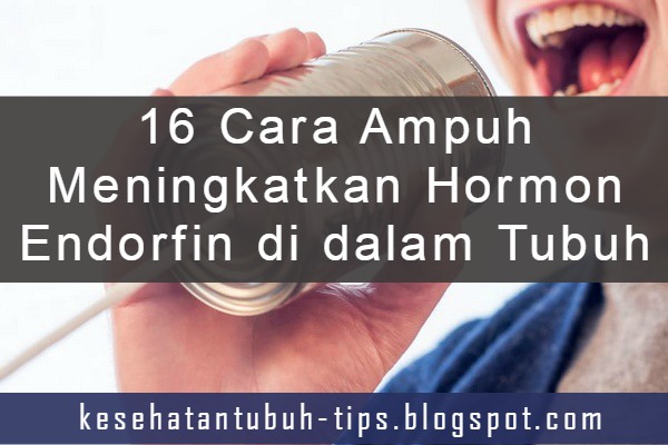 16 Cara Ampuh Meningkatkan Hormon Endorfin di dalam Tubuh 16 Cara Ampuh Meningkatkan Hormon Endorfin di dalam Tubuh