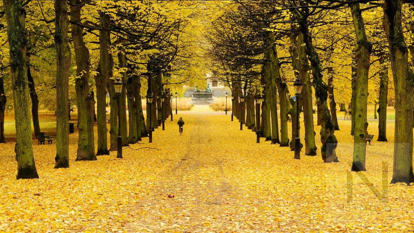 Autumn-in-Sweden-2