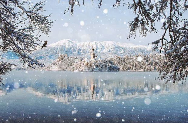 Las más bellas fotos de paisajes invernales. 
