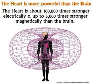 Wild Magnetic Flux Changes - Heart and Blood Effects Possible. D0b060b8926688bb99519d524f7e010d