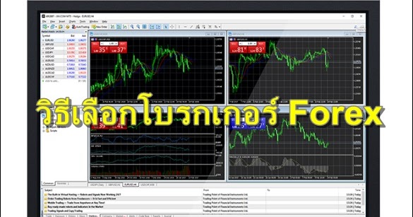 โบรกเกอร์ forex