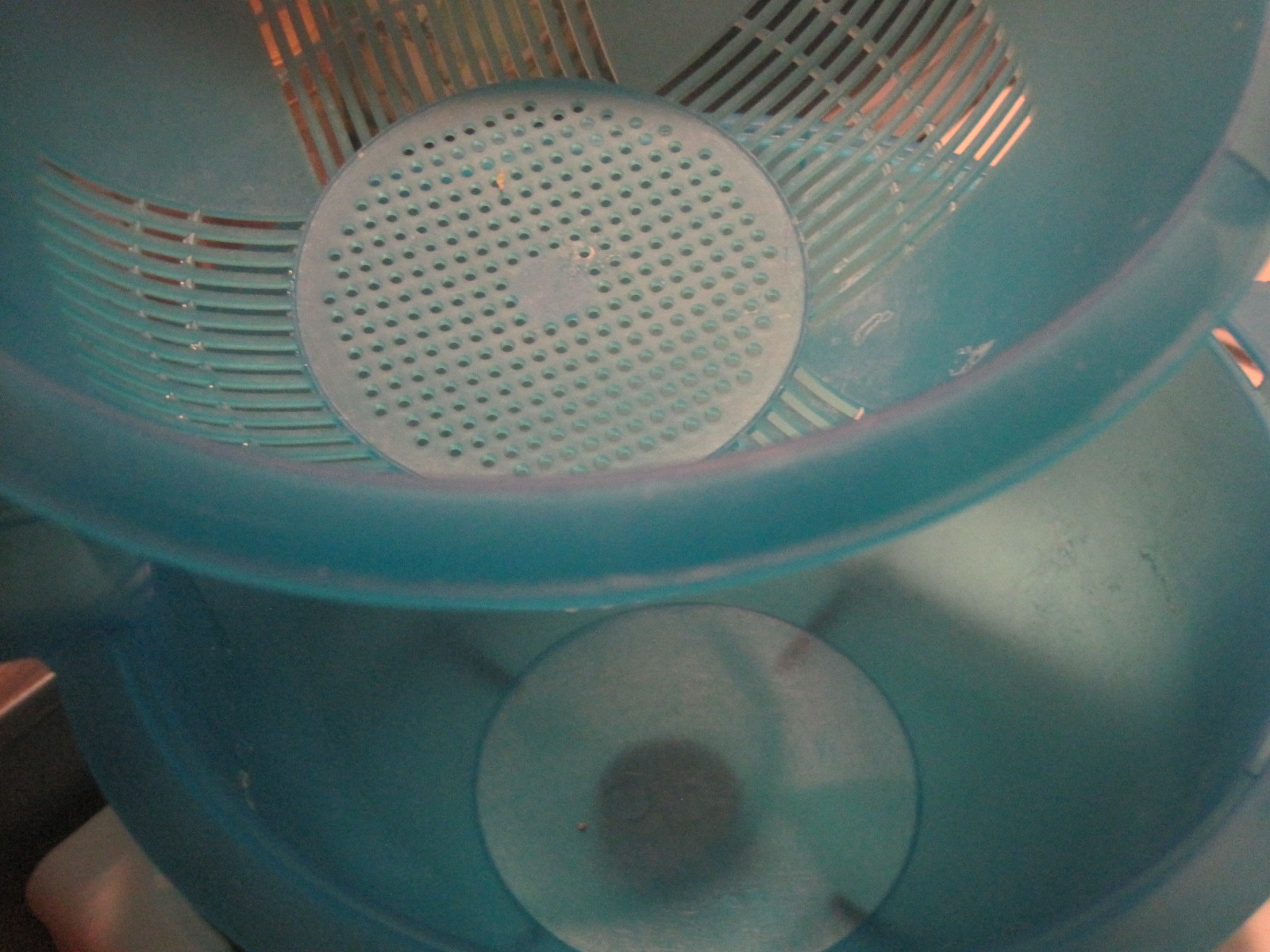 Mozzarella selbst gemacht – glatzkoch.de