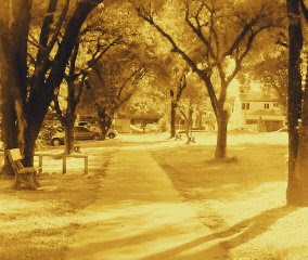 Park in Autumn