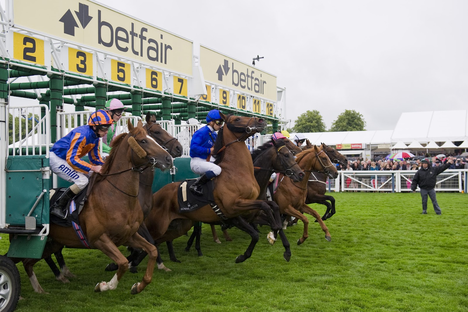 Your Ascot Ticket To Riches 10 Bet Unlocks 30 Free 20 Free Spins - tjf3fdv