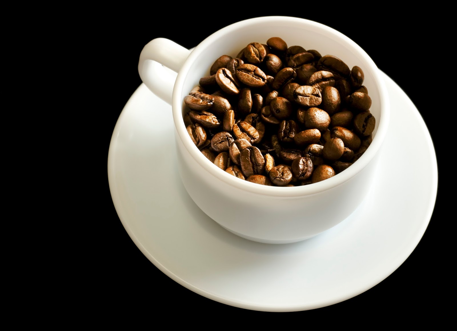 The Italian Coffee Company 2016