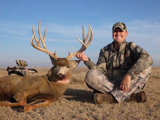 pope and young mule deer buck