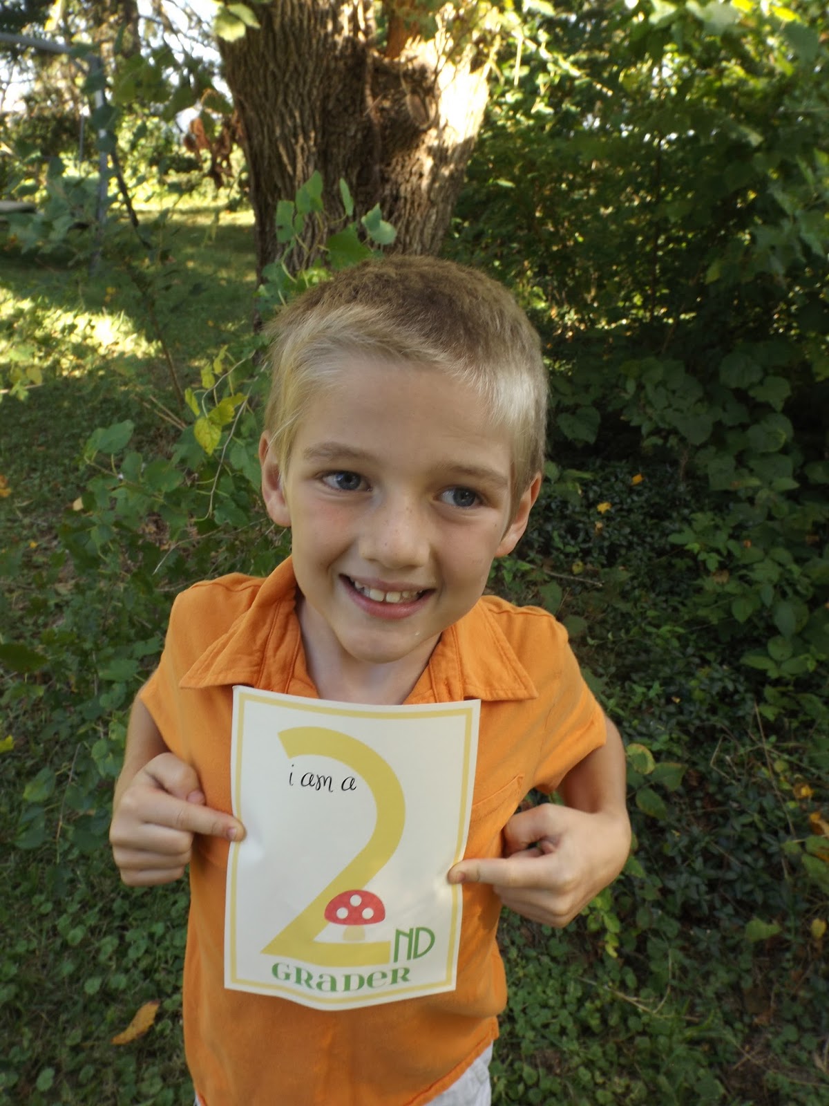 Stewart Shenanigans My 7 year old can't read Yet!