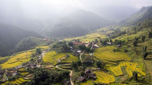 Vietnam’s 5 most attractive travel destinations for January Vietnam’s 5 most attractive travel destinations for January