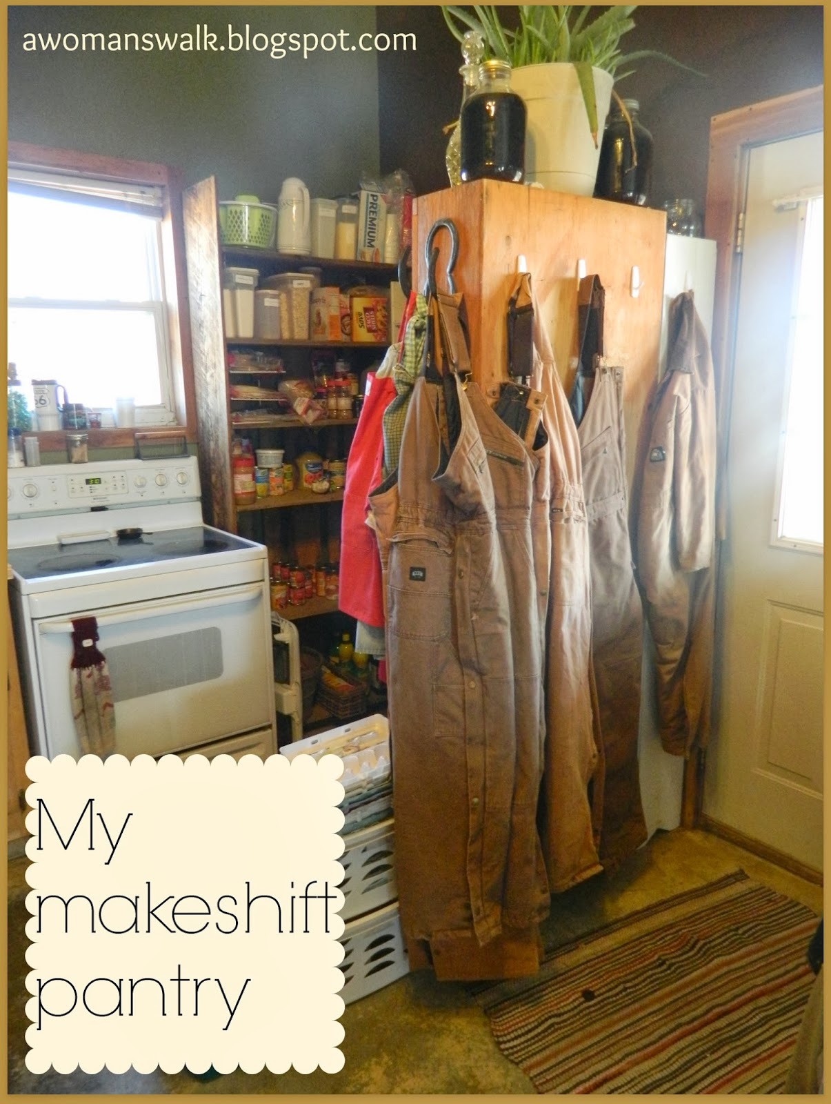 Rashel's Run My Makeshift Pantry