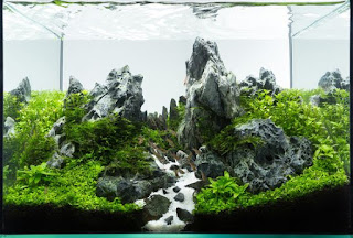 200 Referensi Desain Dan Model Aquascape Berdasarkan Tema https://www.faktapopuler.com/2018/12/200-referensi-desain-dan-model.html