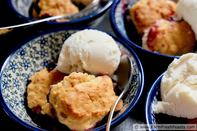 image of a bowl of fresh cherry and blueberry cobbler served with vanilla ice cream