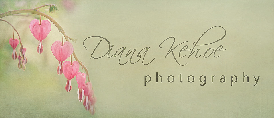 DianaKehoePhotography