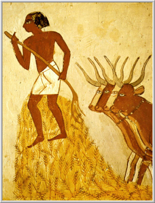 S T R A V A G A N Z A: GEOGRAPHY AND AGRICULTURE OF ANCIENT EGYPT