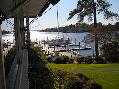 YA at the dock (nearly alone) at the Tides. There are lots of empty slips along the ICW.