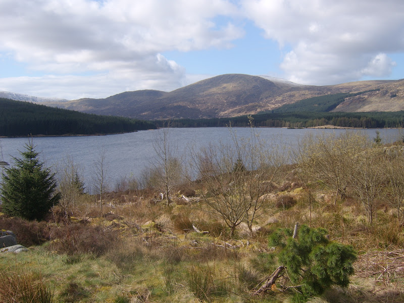 Gordon and Anne's Blog: April 2012