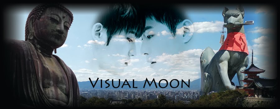 Visual Moon