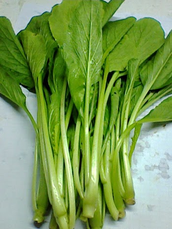 Cara Menanam Sawi Hijau Yang Baik Dan Benar - Referensi Tani dan Kebun