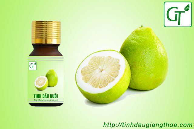 Tinh dầu vỏ bưởi nguyên chất (Grapefruit oil) Tinh dầu vỏ bưởi nguyên chất (Grapefruit oil)