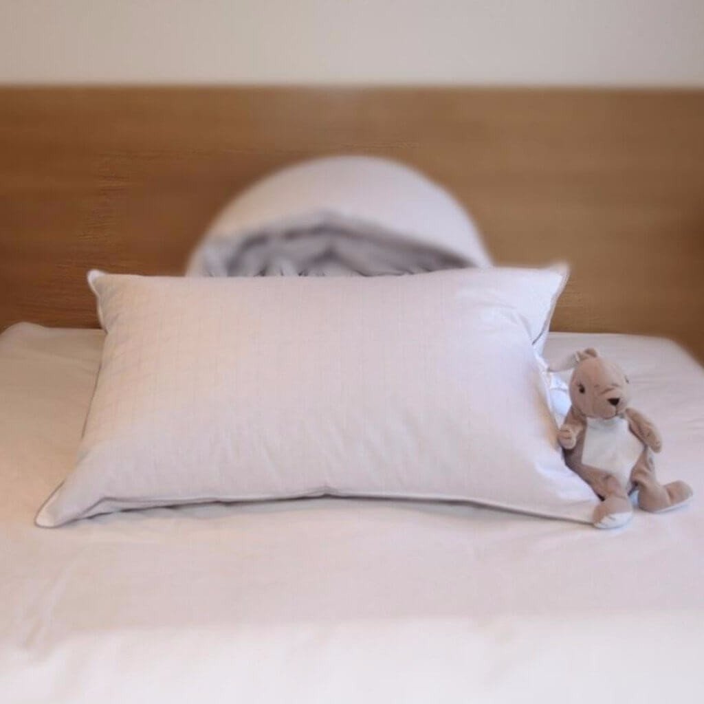 Popular Types of Goose Down Duvets How Siberian goose down pillows