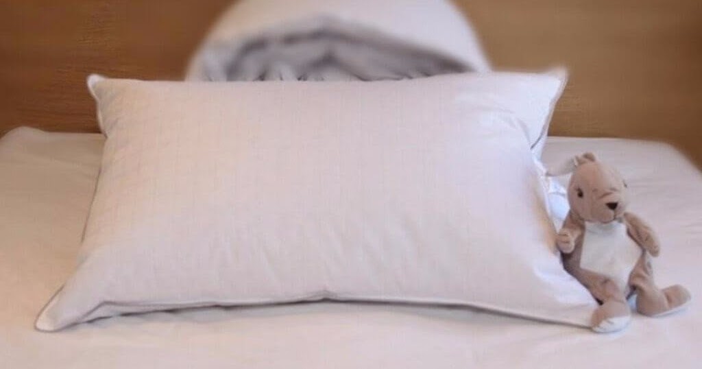 Popular Types of Goose Down Duvets How Siberian goose down pillows