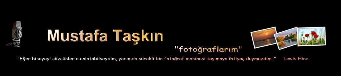 mustafa taşkın fotoğrafları