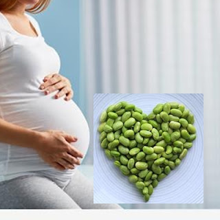 manfaat kacang hijau bagi ibu hamil dan juga janin manfaat kacang hijau bagi ibu hamil dan juga janin