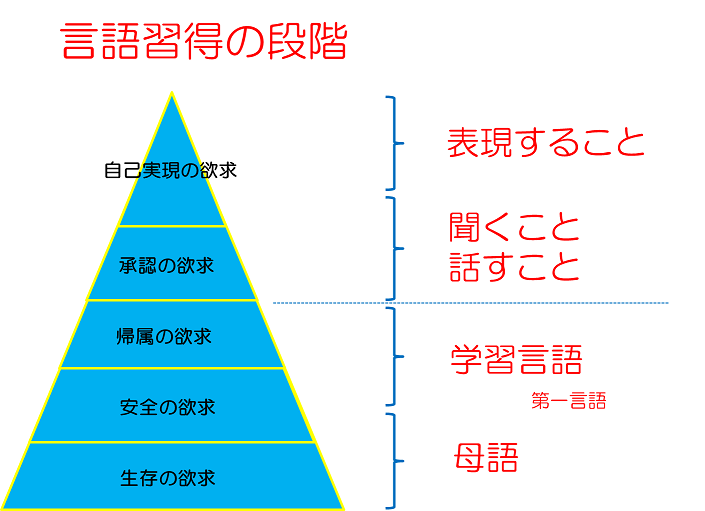 皮膚細胞を初期段階で精子に変える研究