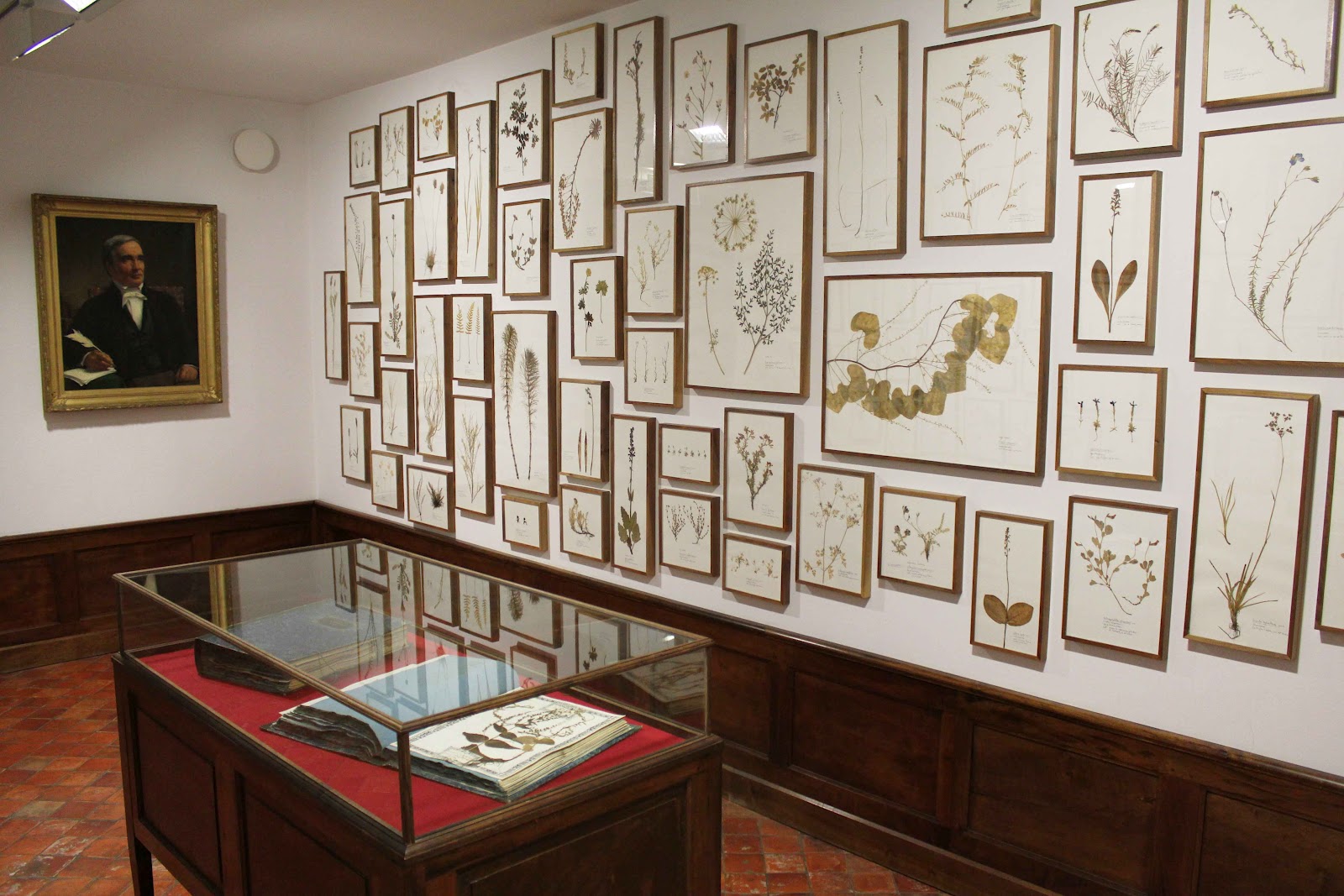 Peter Foolen herman de vries Musée Gassendi, DignelesBains