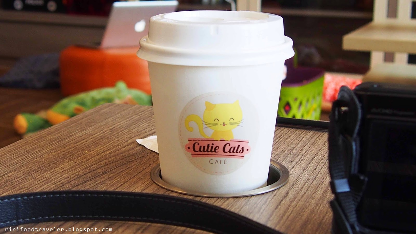taikkkkkkkkkksksksksksks: Cutie Cats Cafe Kemang: The 1st Cat Cafe in