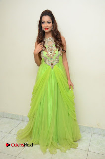 Rashmi Tagore (Miss Planet India 2016) Pictures in Green Dress at Telangana Film Chamber  0003