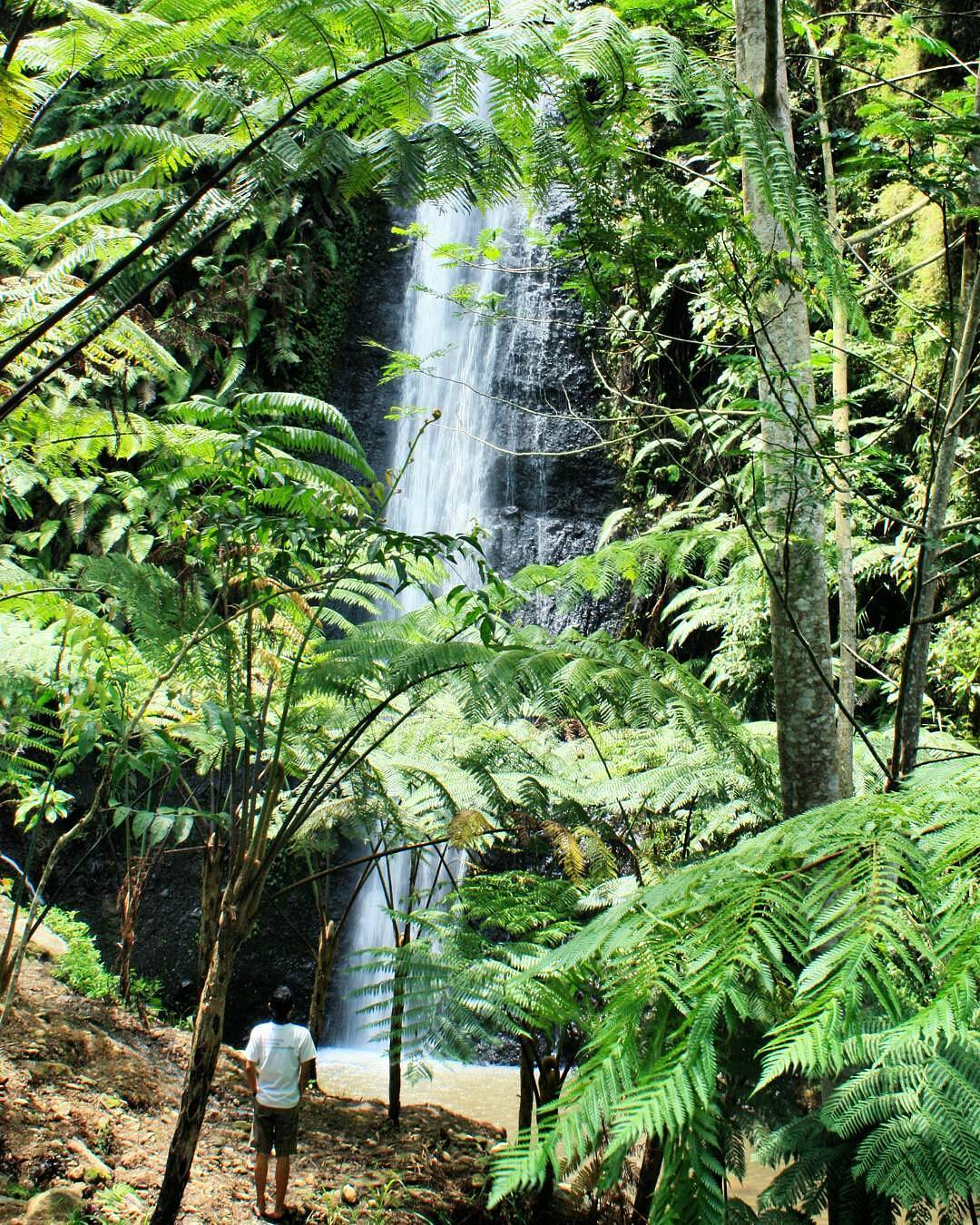 Pemandangan Alam Wonogiri