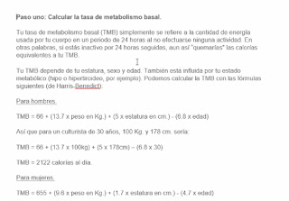 Excel que calcula las kilocalorías necesarias para una dieta y objetivo en particular Imagen%2B026