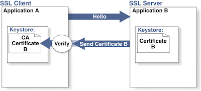 One-Way SSL