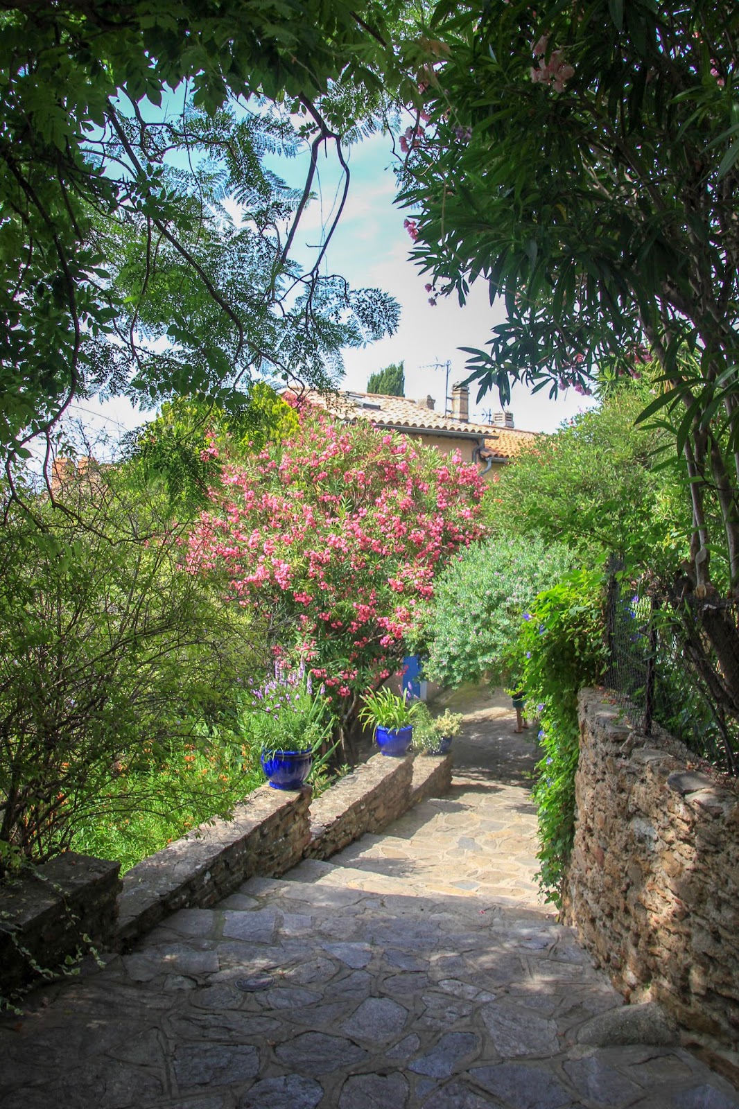 Bormes- les- Mimosas