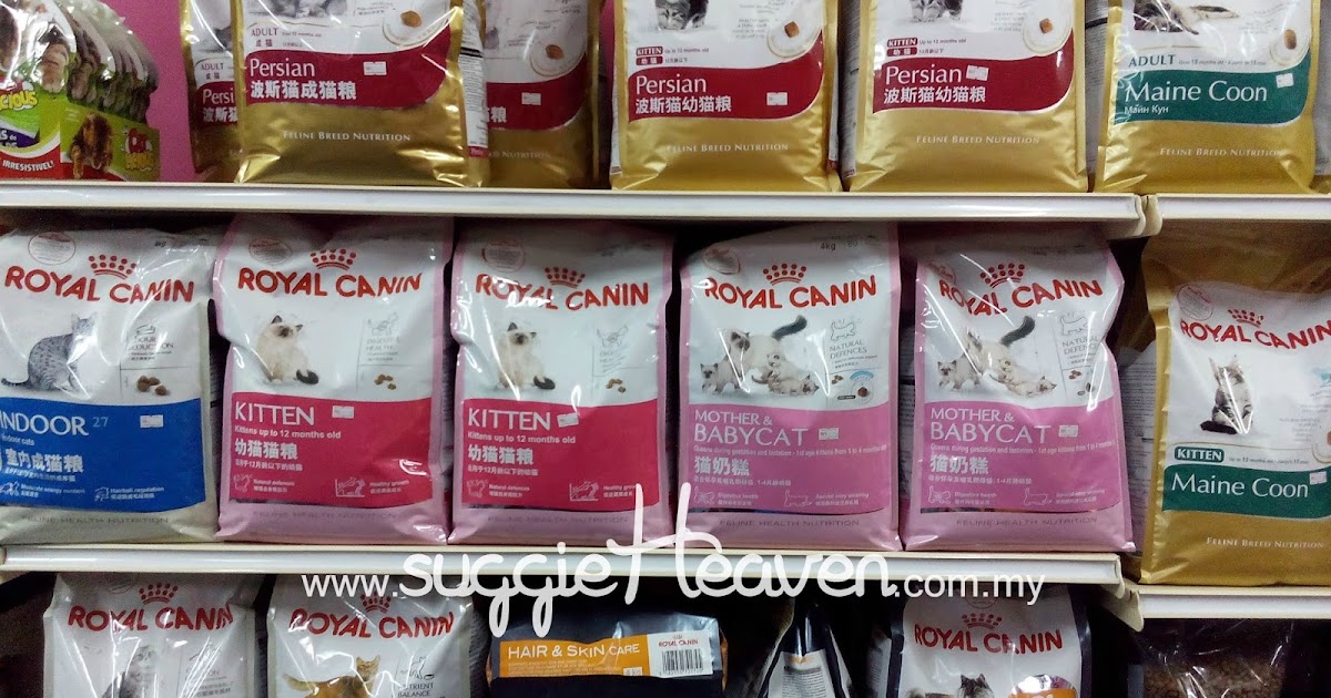 Ivermectin price