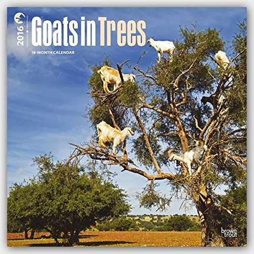 https://4.bp.blogspot.com/-9Y3AKhuWbUY/WTH8kJMcaEI/AAAAAAAADkY/3P0WQHILZg827gsq5skS6stHTYMQwyQHwCLcB/s1600/Goats-in-tree-calendar-2016.jpg