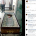Foto de cachorro em caixão no sul da Bahia repercute nas redes sociais